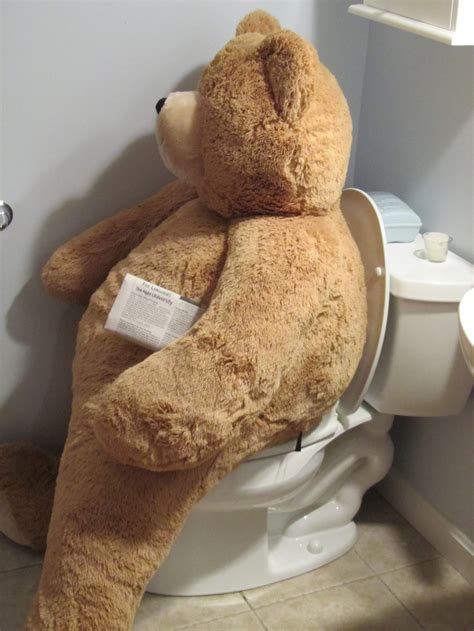 Big Hunka Love Bear On The Toilet Funny Teddy Bear Teddy Bear