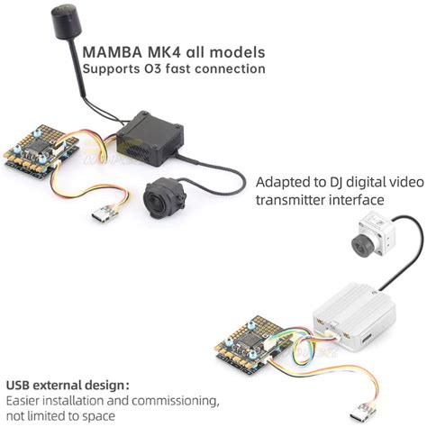 Diatone Mamba Mk F Mini Wing S Flight Control Suitable