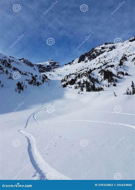Snowboarder Trails Winding Down the Untouched Slopes in the Idyllic