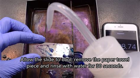 Spore Stain Procedure Schaeffer Fulton Method YouTube