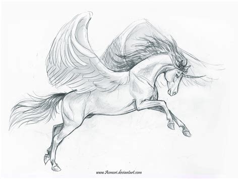 Sketch Of A Pegasus By Aonikaart On Deviantart