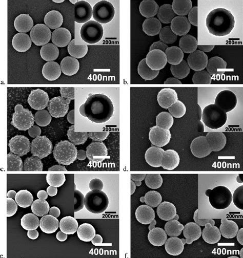 SEM And Inset TEM Images Of Some Representative Polymer Colloids A