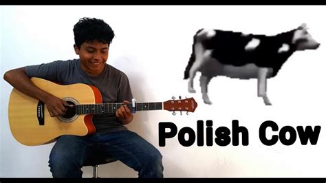 Vaca Polacapolish Cow Meme Fingerstyle Guitar Cover Josh García