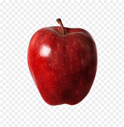 Red Apple Png Free Png Images Id Toppng