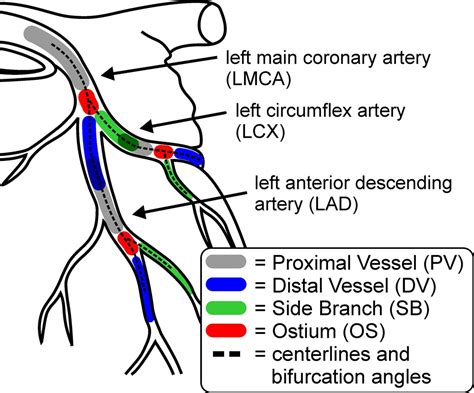 Image Based Quantification Of 3d Morphology For Bifurcations In The