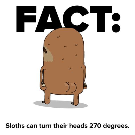 sloths toys 5