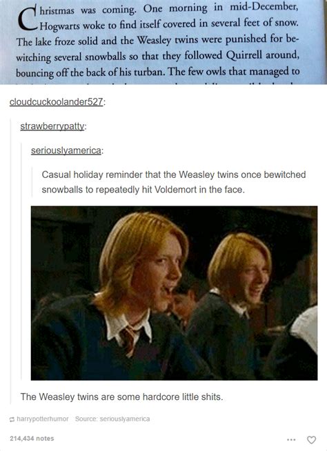 Harry Potter Memes Tumblr