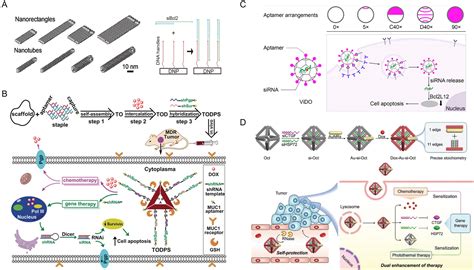 Dna Based Nanostructures For Rna Delivery