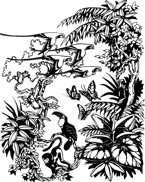 Jungle clipart black and white, Jungle black and white Transparent FREE ...