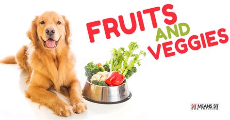 The Best Fruits And Vegetables For Dogs Sit Means Sit Knoxville