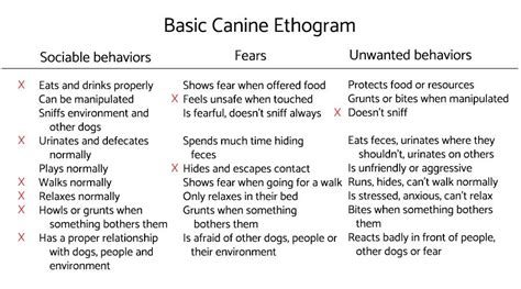 How to Make a Dog Ethogram