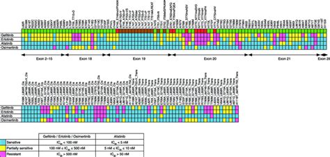 In vitro sensitivities of different EGFR mutations to gefitinib ...