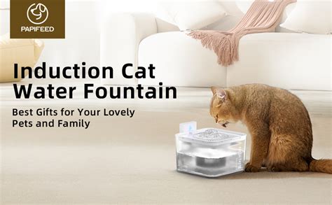 Papifeed Dual Power Cat Water Fountain 84oz25l Wireless And Battery