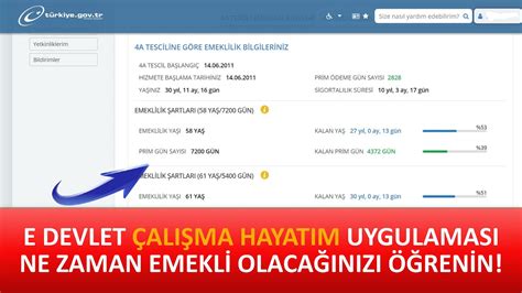 E DEVLET ÇALIŞMA HAYATIM UYGULAMASI İLE NE ZAMAN EMEKLİ OLACAĞINI