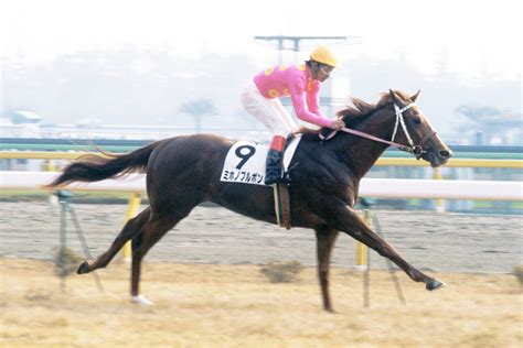 ミホノブルボン｜3分でわかった気になる名馬 Jra