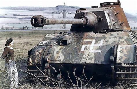 Panzerkampfwagen Vi Tiger Ii Ausf B Krupp Konigstiger Rare Wwii Color