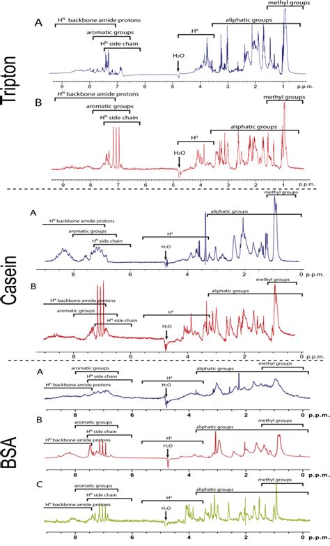 Figure 1 From Analysis Of Bovine Serum Albumine Caseine And Tryptone