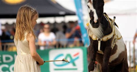 Le Village Cheval Terres En F Te Conseil Des Chevaux Hauts De France