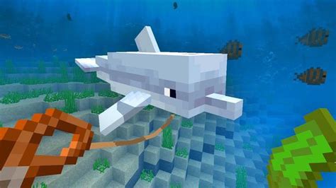 Gu A Para Domar Delfines En Minecraft Tutorial Paso A Paso