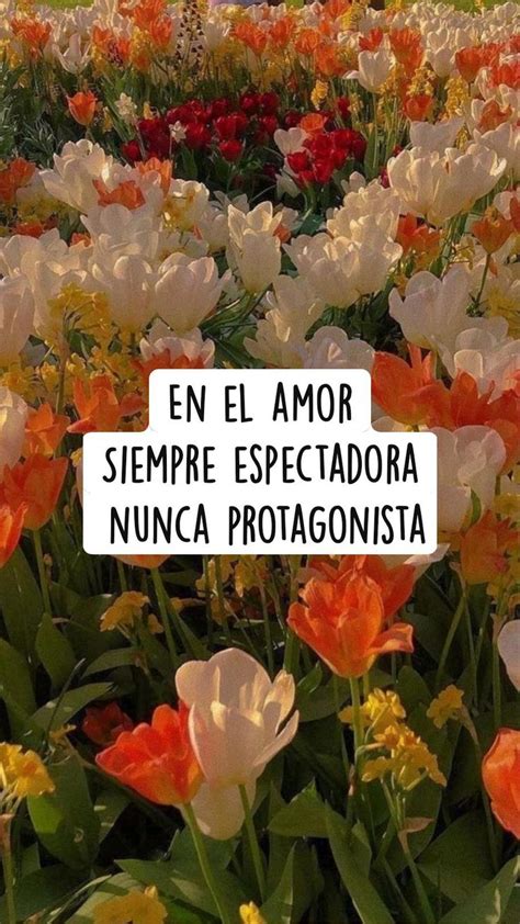 En El Amor Siempre Espectadora Nunca Protagonista Amor