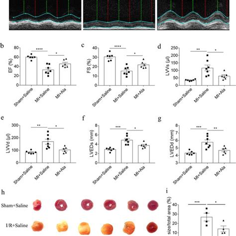 Ala Alleviated Mi Induced Cardiac Fibrosis A B The Fibrosis Of Heart