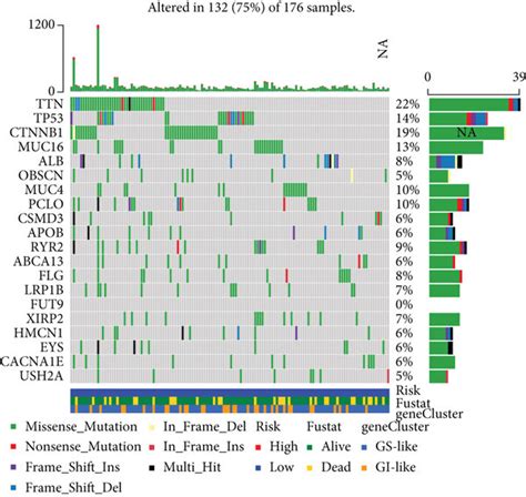 Validation Of The Relationship Between The Gilncsig And The Genomic