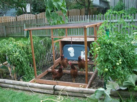 Kebun Sayur Mini Di Rumah Model Rumah Minimalis 2020