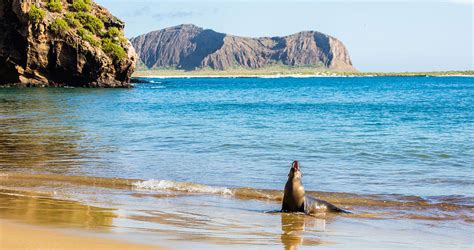 The Best Activities And Day Tours From San Cristobal Galapagos