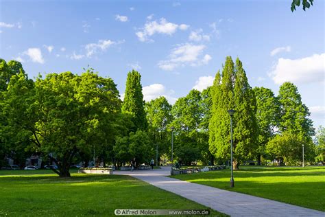 Photo Of City Park Tartu Estonia