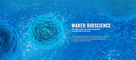 Biosafety Assessment Of Gene Therapy Gene Editing New Drug Declaration