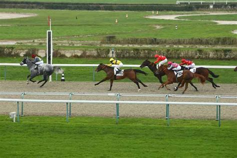 La Photo De L Arriv E Du Prix De La Seulles Course Pmu Du Dimanche