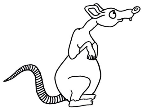 Realistic Rat Coloring Page Free Printable Coloring Pages For Kids