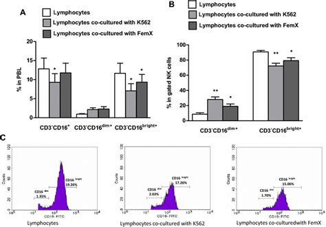 The expression of CD16 on CD3⁻CD16⁺ NK cells, CD3⁻CD16bright and ...