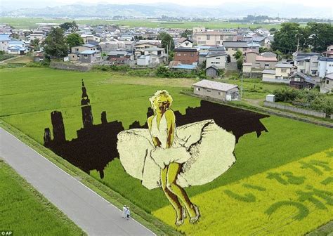 The Rice Paddy Art of Japan | Amusing Planet