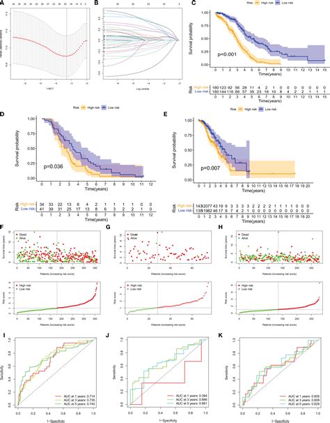 Frontiers Identification Of Copper Metabolism Related Subtypes And