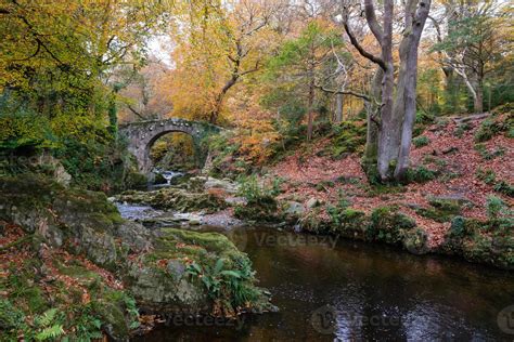 Foley Bridge Tollymore Forest Park Northern Ireland UK 6667199 Stock