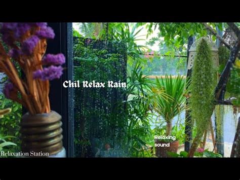 Chil Relax Rain Sound Relaxing Music Meditation Sound Relaxing Sound