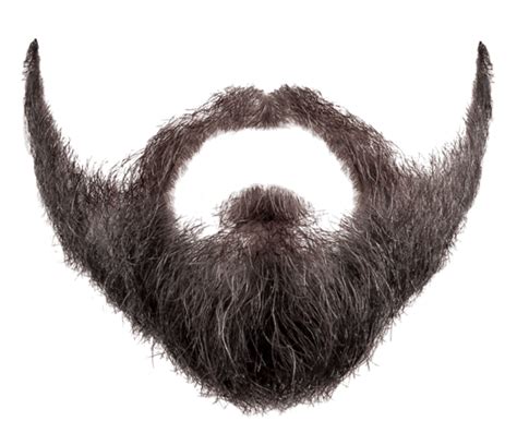 Beard PNG, Beard Transparent Background - FreeIconsPNG