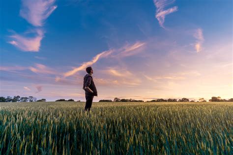 Grassy Field Sunset