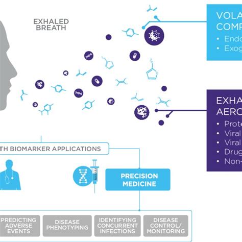 The Opportunities For Breath Biomarkers To Impact Early Detection And Download Scientific