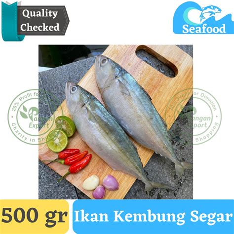 Jual Ikan Kembung Segar Ikan Kembung Banjar Shopee Indonesia