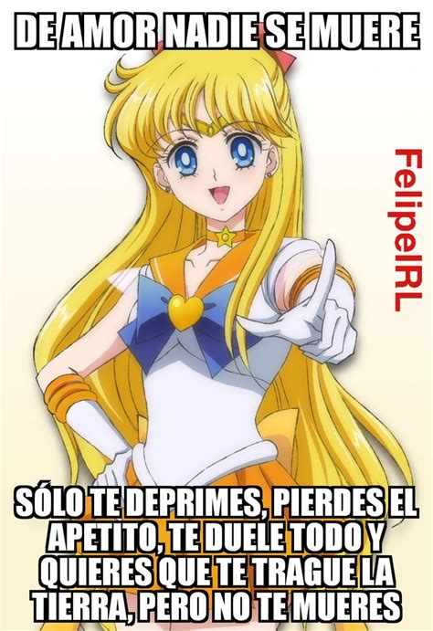 Cierto Sailor Venus Frases de personajes Imágenes divertidas Frases