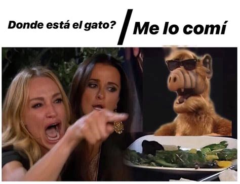 Viral Meme del gato en la mesa y una mujer gritándole FOTOS El