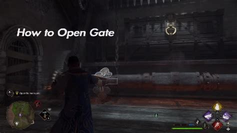 How To Open Castle Gate Natsai Onai Quest Hogwarts Legacy Side