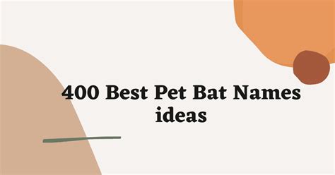 Best Pet Bat Names That You Will Like