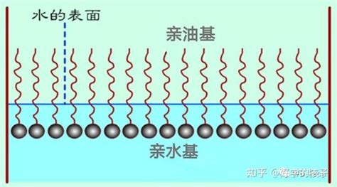 表面活性剂的原理及应用 知乎