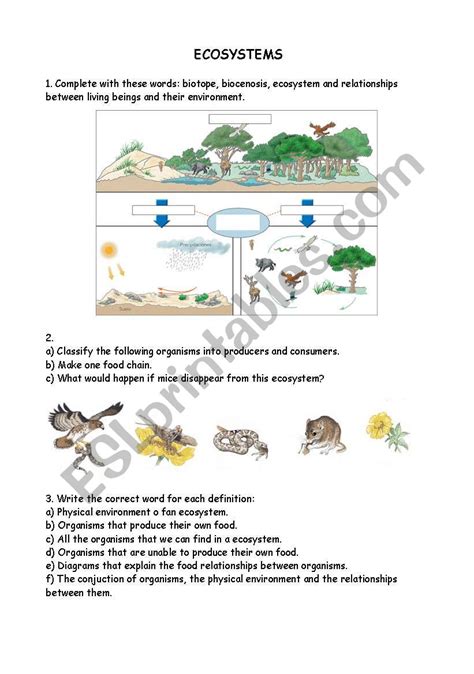 Free Printable Ecosystem Worksheets Pdf Printable Word Searches