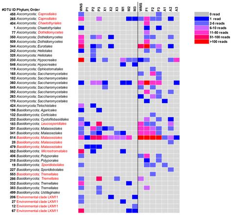 Fungi Found In Mediterranean And North Sea Sponges How Specific Are