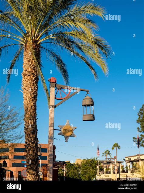 Palm Tree And Lamp Old Town Scottsdale Scottsdale Phoenix Arizona