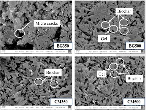 SEM Image And EDX Analysis Of The Dredged Sediment Based Lightweight